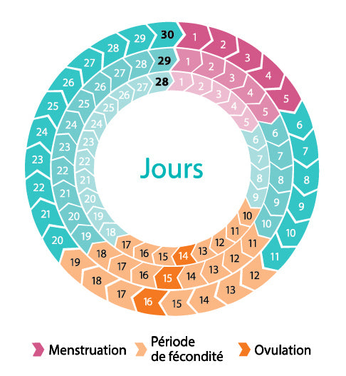 Comment calculer ton cycle menstruel ?