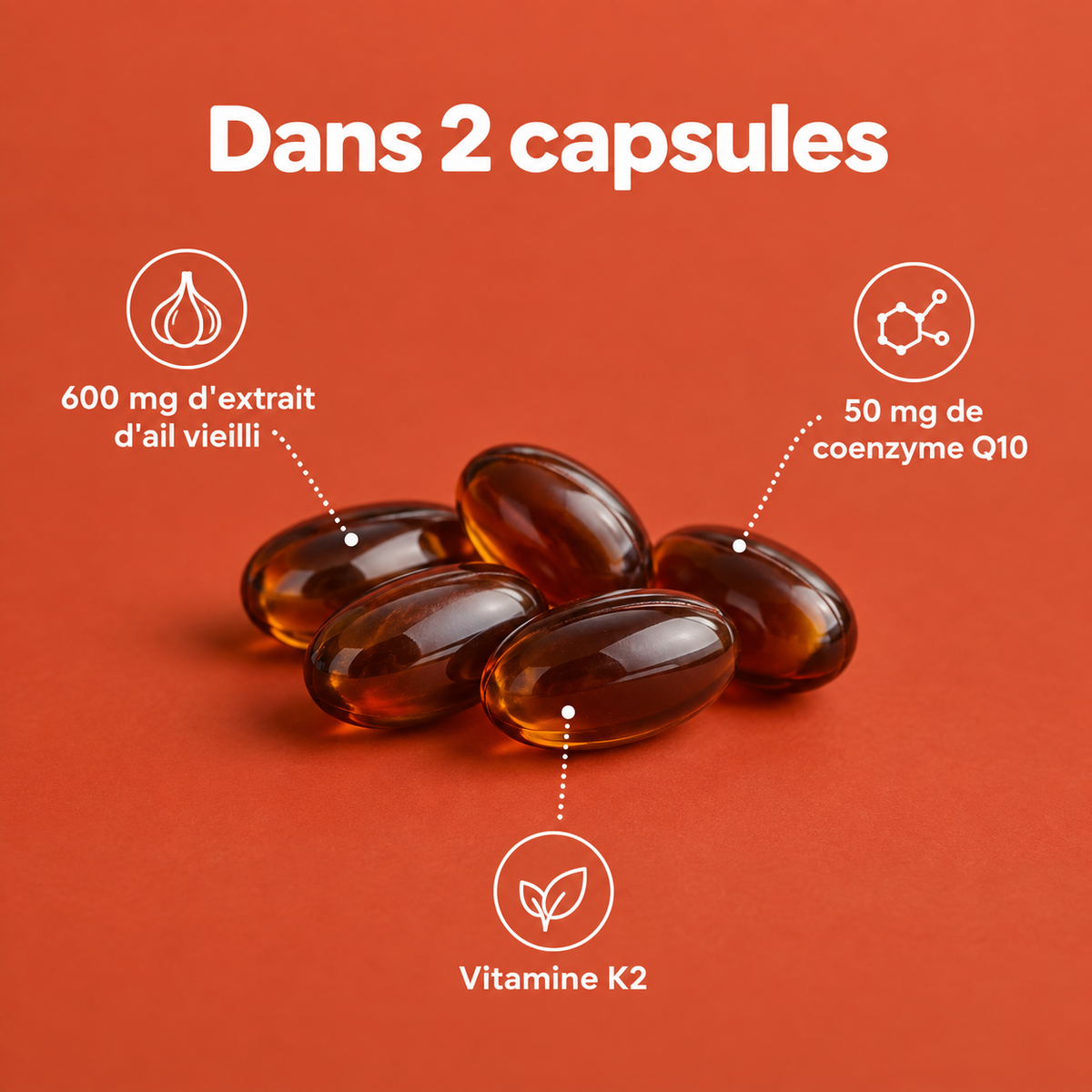 Dans 2 capsules : extrait d'ail vieilli, coenzyme Q10 et vitamine K2